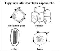  Obrzek: Typy krystal avelanu vpenatho