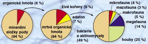 Zastoupení půdních organismů (v hmotnostních procentech) v půdní organické hmotě