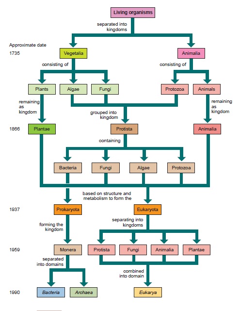 basic algorithm of life concept map