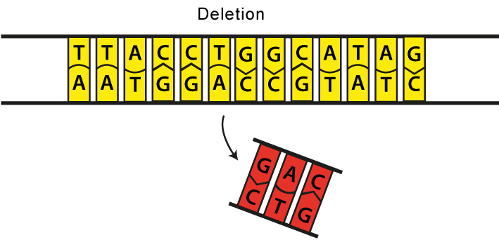 dna mutation deletion