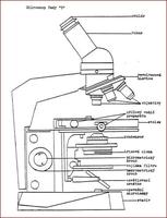  Obrzek: Optick mikroskop
